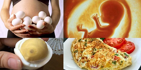 Ăn trứng ngỗng tốt cho thai nhi