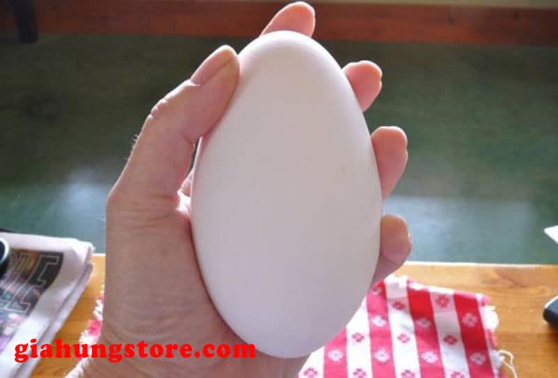 Hướng dẫn lựa chọn trứng ngỗng ngon chất lượng