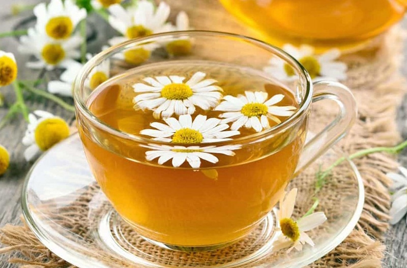 Uống trà hoa hòe làm hạ huyết áp