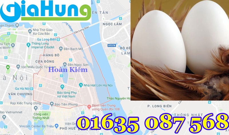Mua trứng ngỗng nhà nuôi tại quận Hoàn Kiếm - Hà Nội