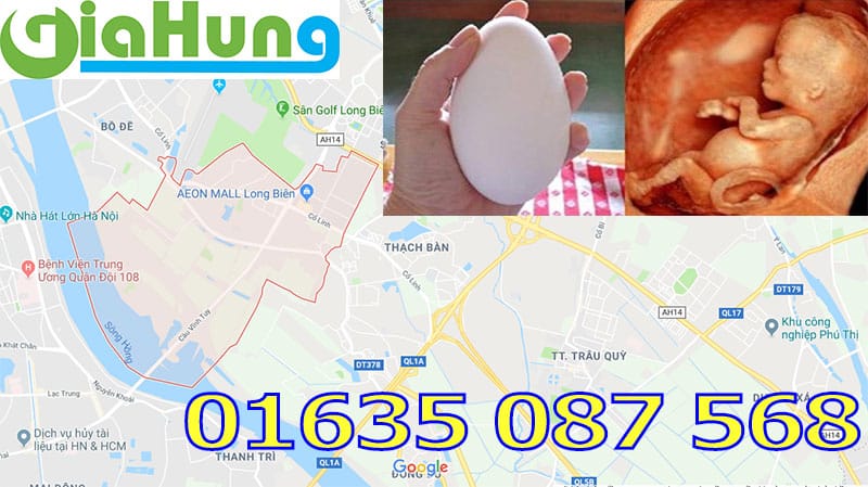 Mua trứng ngỗng ngon tại quận Long Biên